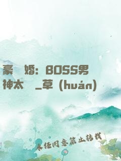 豪門閃婚：BOSS男神太難纏