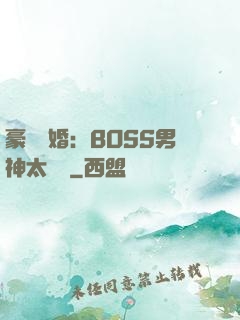 豪門閃婚：BOSS男神太難纏