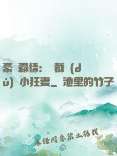 豪門霸情：總裁獨(dú)寵小狂妻