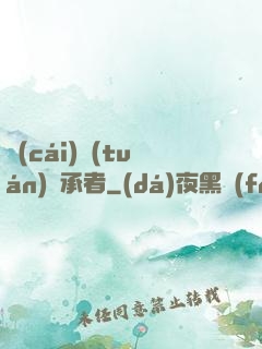 財(cái)團(tuán)繼承者