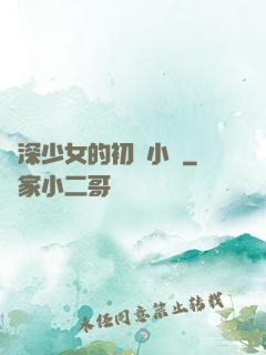資深少女的初戀小說