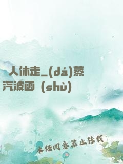賊人休走
