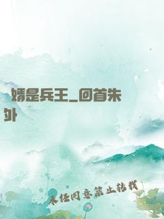 贅婿是兵王