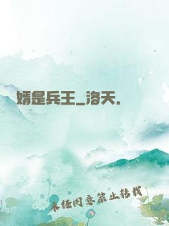 贅婿是兵王