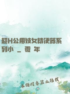 超H公用妓女精便器系列小說