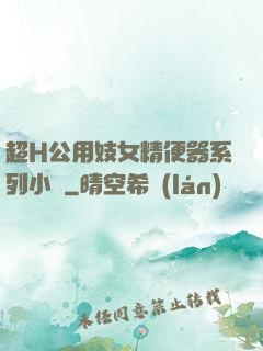 超H公用妓女精便器系列小說
