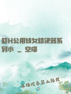 超H公用妓女精便器系列小說
