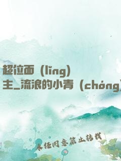 超位面領(lǐng)主