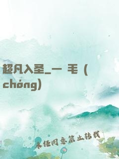 超凡入圣