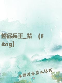 超品兵王
