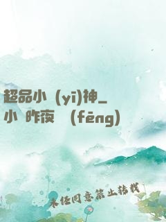 超品小醫(yī)神