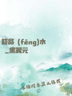 超品風(fēng)水師