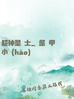 超神圣騎士