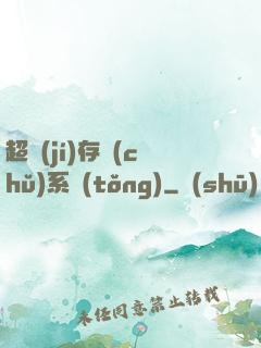 超級(jí)存儲(chǔ)系統(tǒng)