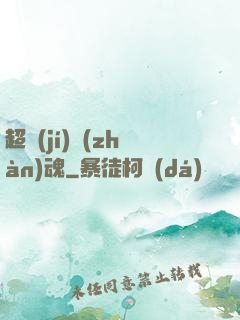 超級(jí)戰(zhàn)魂