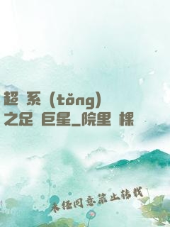 超級系統(tǒng)之足壇巨星