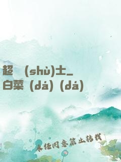 超維術(shù)士