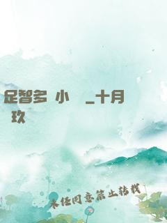 足智多謀小國師