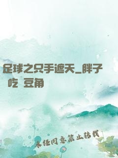 足球之只手遮天