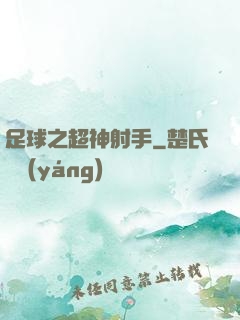 足球之超神射手
