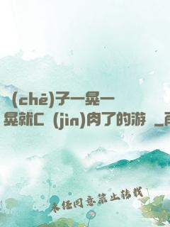 車(chē)子一晃一晃就C進(jìn)肉了的游戲