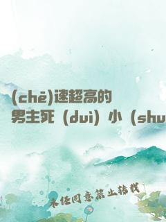 車(chē)速超高的雙男主死對(duì)頭小說(shuō)