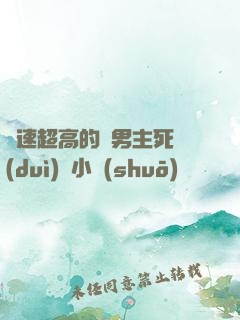 車速超高的雙男主死對(duì)頭小說(shuō)