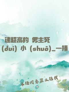 車速超高的雙男主死對(duì)頭小說(shuō)