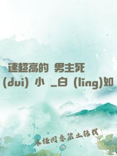 車速超高的雙男主死對(duì)頭小說