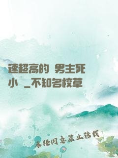 車速超高的雙男主死對頭小說