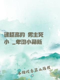 車速超高的雙男主死對頭小說
