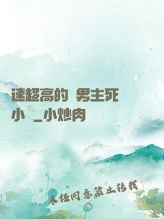 車速超高的雙男主死對頭小說