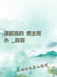 車速超高的雙男主死對頭小說