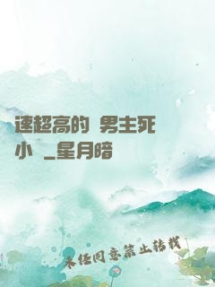 車速超高的雙男主死對頭小說