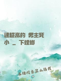 車速超高的雙男主死對頭小說