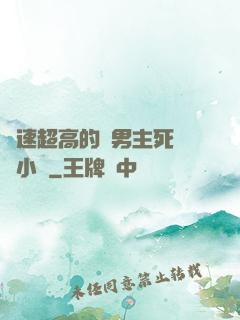 車速超高的雙男主死對頭小說