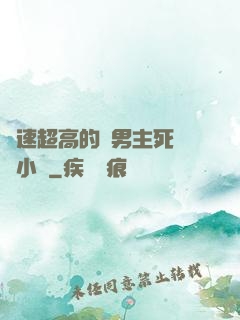 車速超高的雙男主死對頭小說