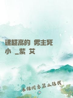 車速超高的雙男主死對頭小說