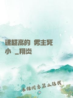車速超高的雙男主死對頭小說
