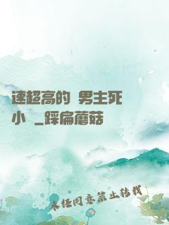 車速超高的雙男主死對頭小說