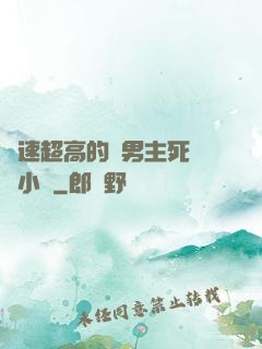 車速超高的雙男主死對頭小說