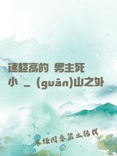 車速超高的雙男主死對頭小說