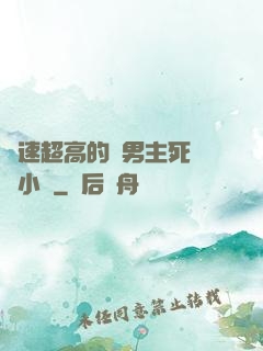 車速超高的雙男主死對頭小說