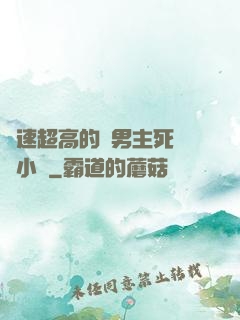 車速超高的雙男主死對頭小說
