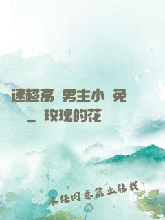 車速超高雙男主小說免費閱讀