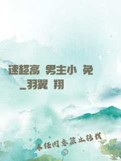 車速超高雙男主小說免費閱讀