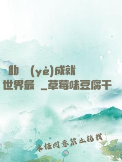 輔助職業(yè)成就世界最強