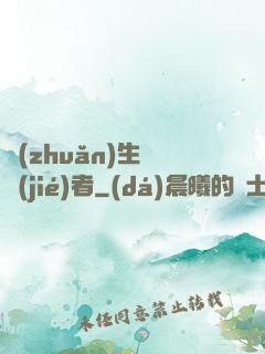 轉(zhuǎn)生終結(jié)者