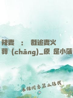 辣妻來襲：總裁追妻火葬場(chǎng)