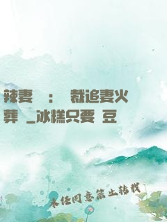 辣妻來襲：總裁追妻火葬場